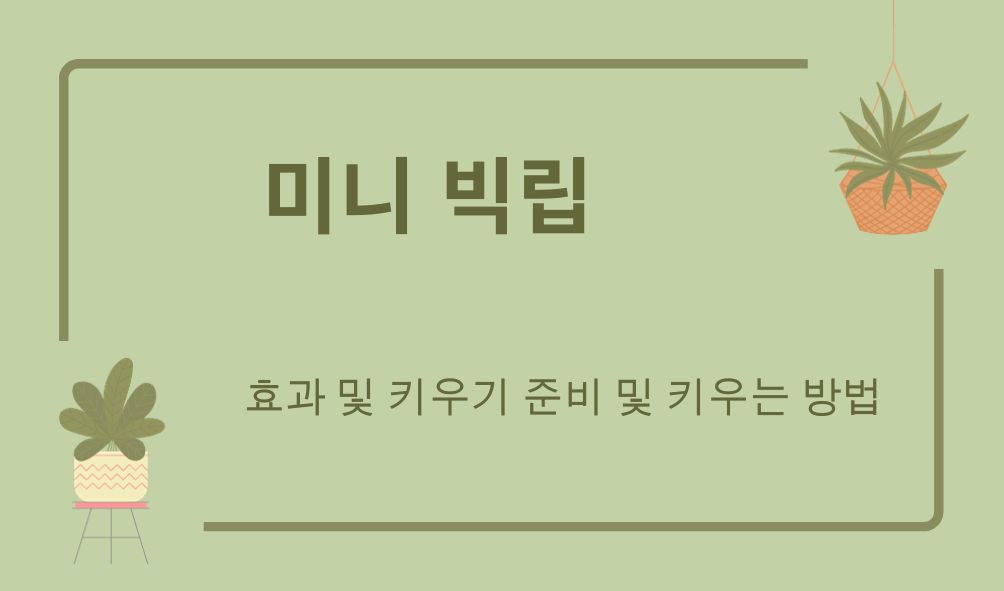 미니 빅립