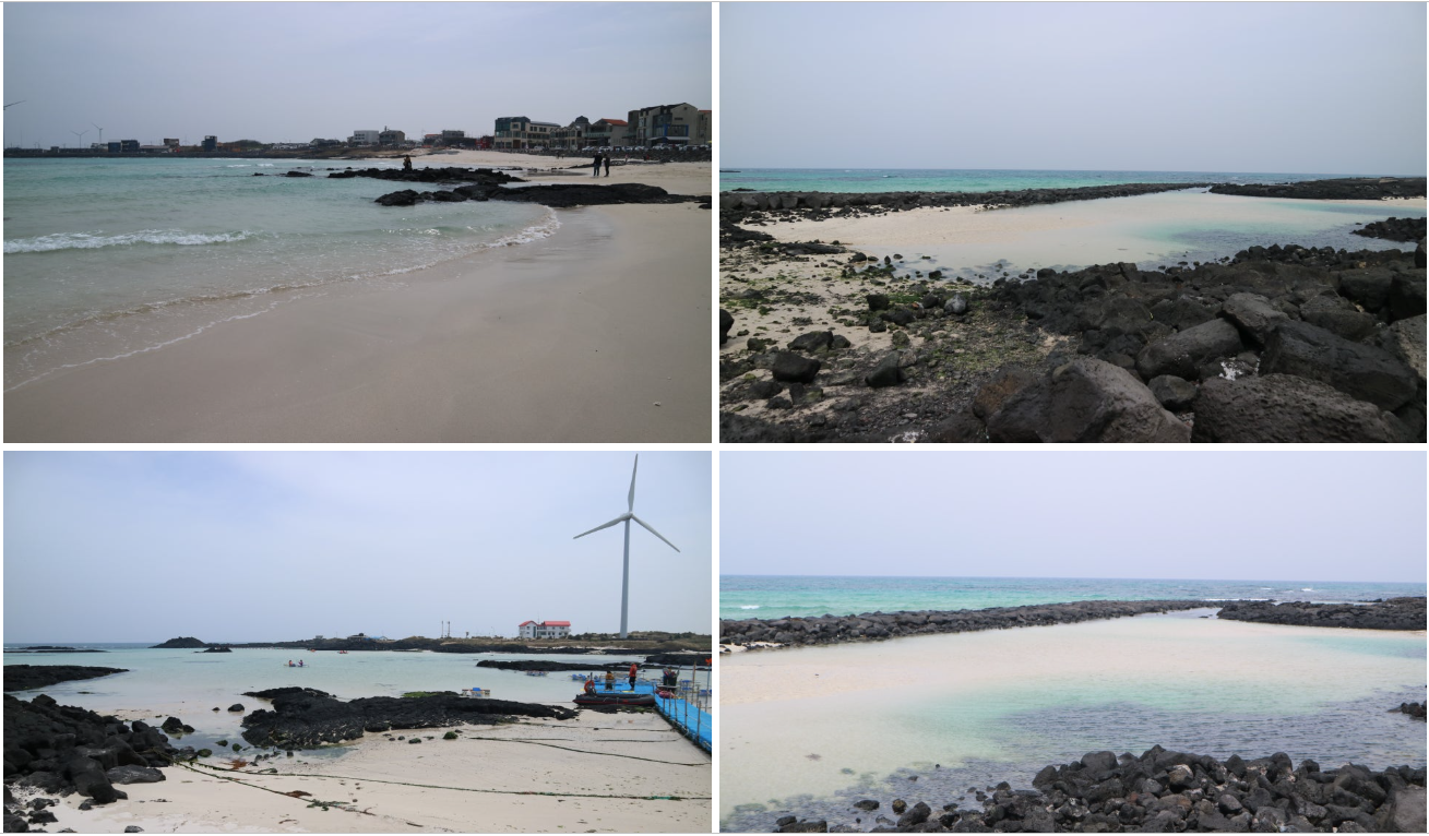 (세화해변 → 하도 해변)