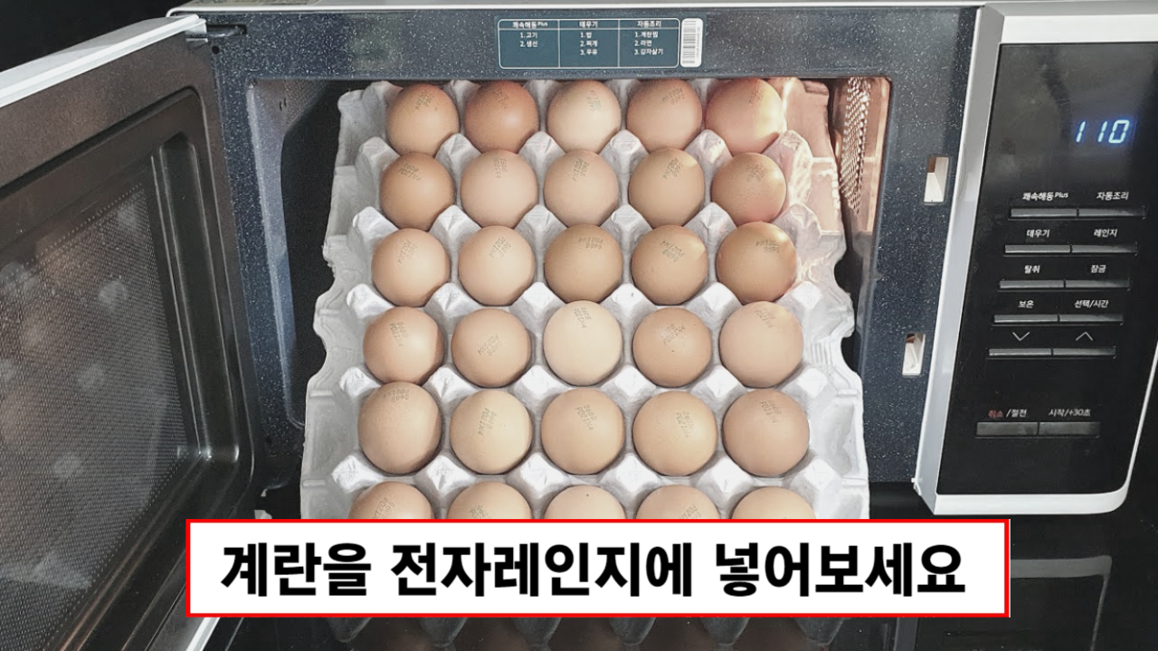 “계란 한 판이 순식간에 사라집니다” 전자레인지로 만드는 계란 간식 요리 2가지