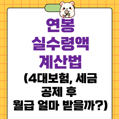 연봉실수령액
