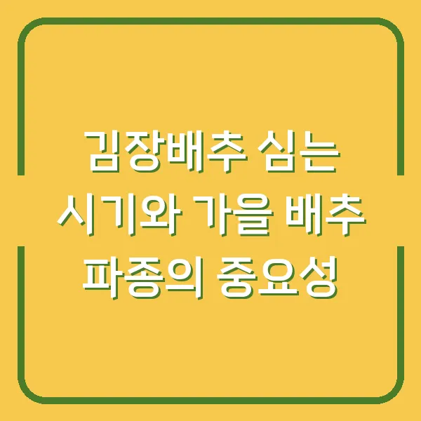 김장배추 심는 시기와 가을 배추 파종의 중요성