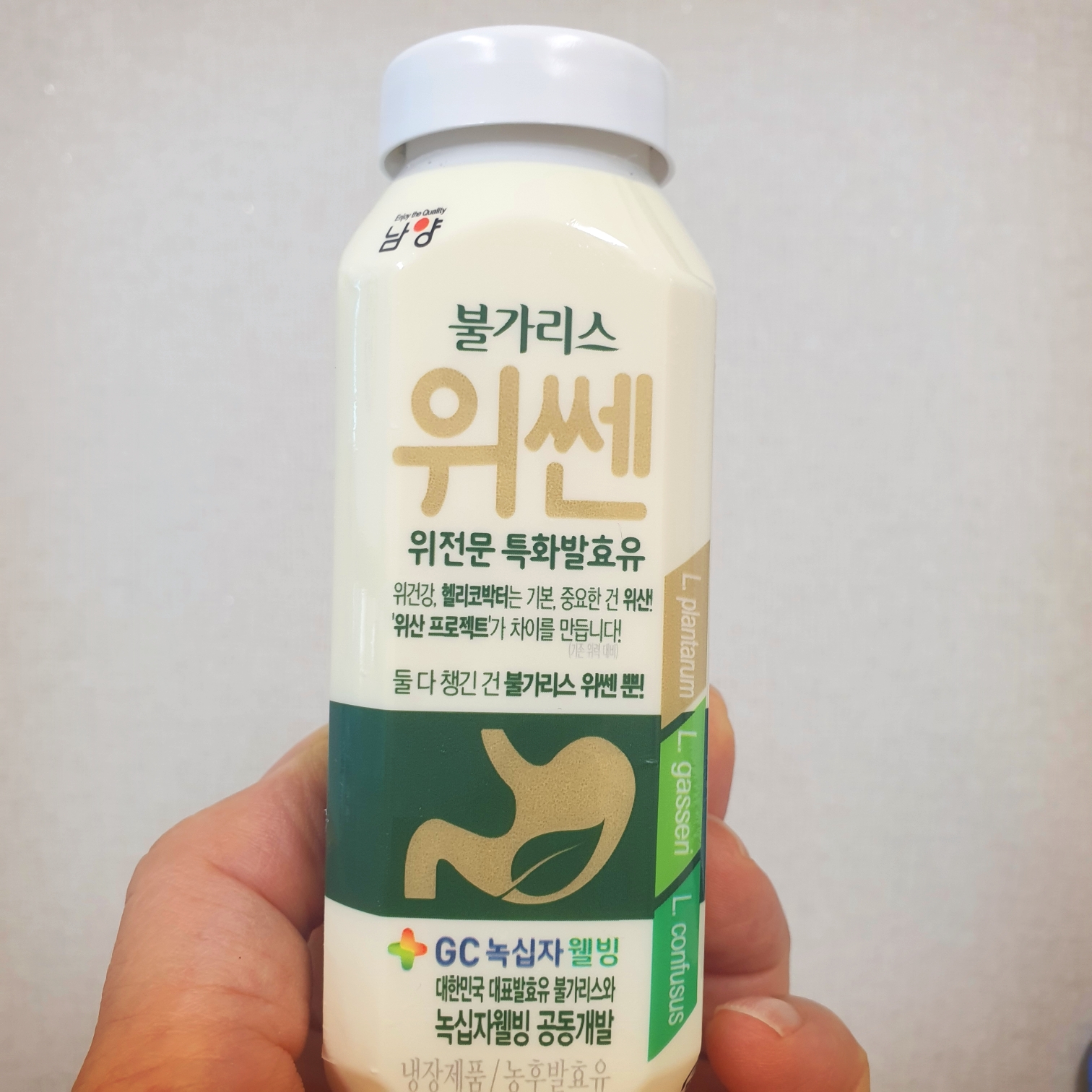  오늘의 간식 남양 불가리스 위쎈