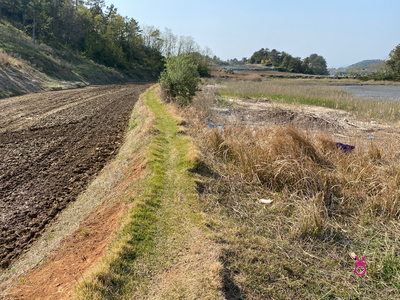 가고싶은 섬 가고싶은섬, 꼬막길과 뻘배길이 11