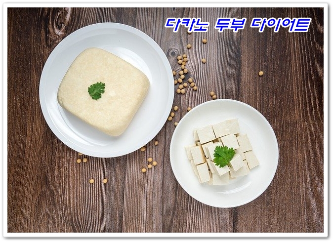  일본의 다카노두부 다이어트와 다카노두부 칼로리