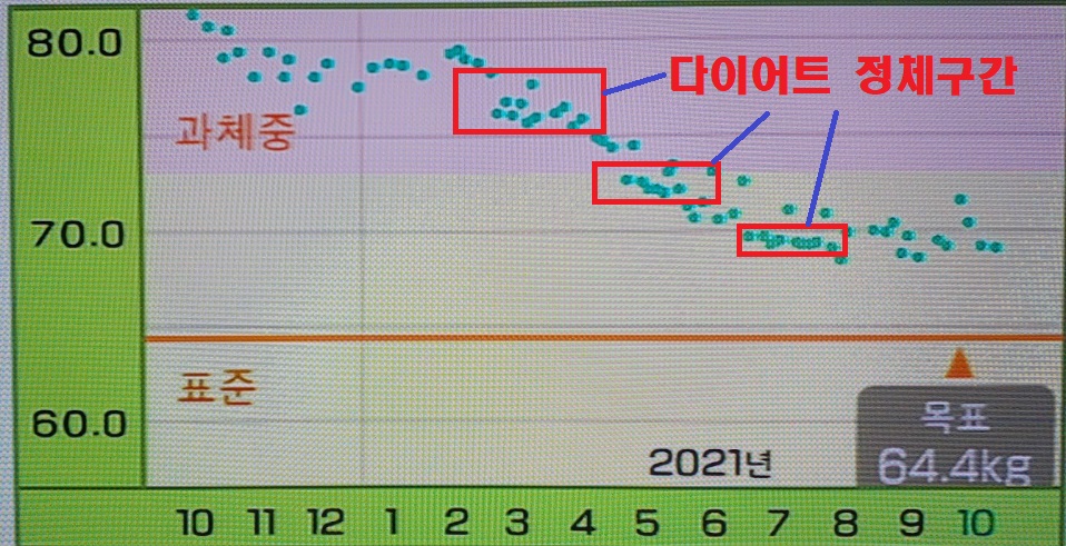  다이어트 정체기와 극복방법