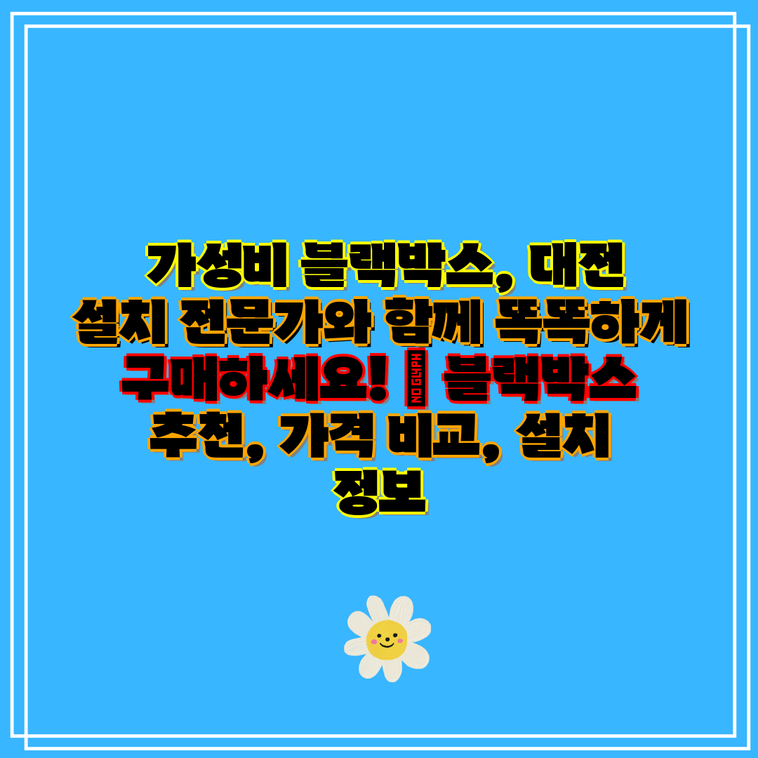 가성비 블랙박스, 대전 설치 전문가와 함께 똑똑하게
