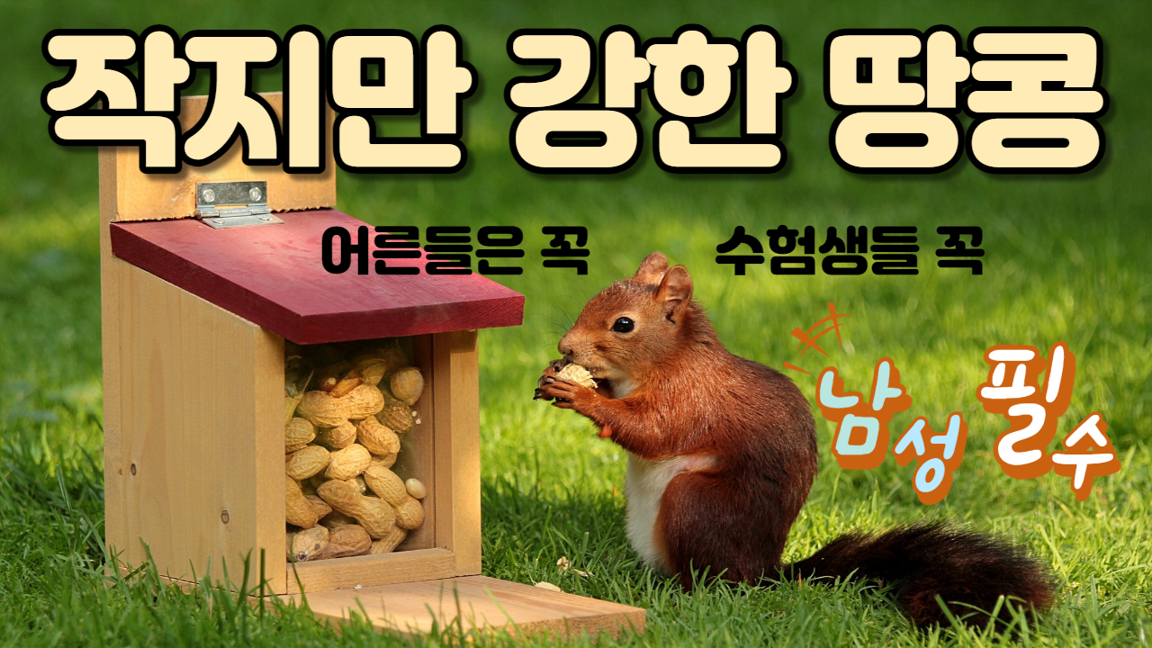  땅콩의 효능