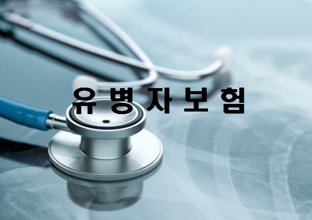 노다지네 잡학다식