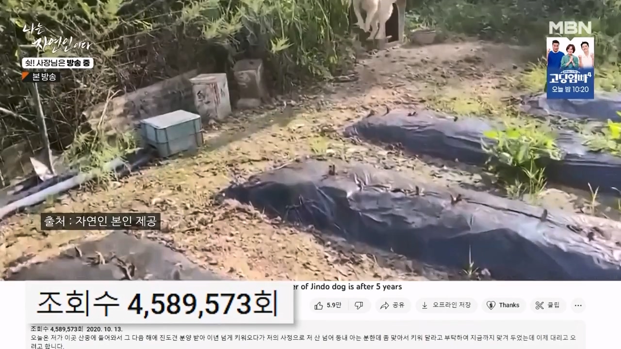 나는 자연인이다.E573.230928p-NEXT.mp4_20230929_174816.842.jpg