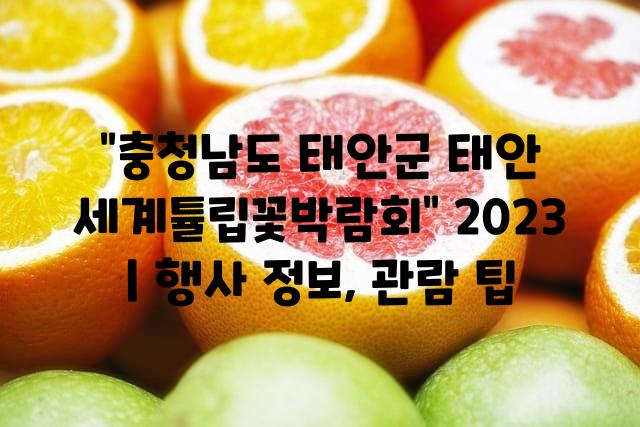 랜덤126