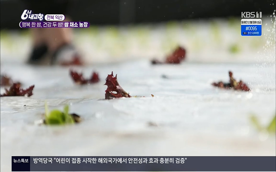 6시 내고향.E7501.220332p.H264-F1RST.mp4_20220402_201615.604.jpg