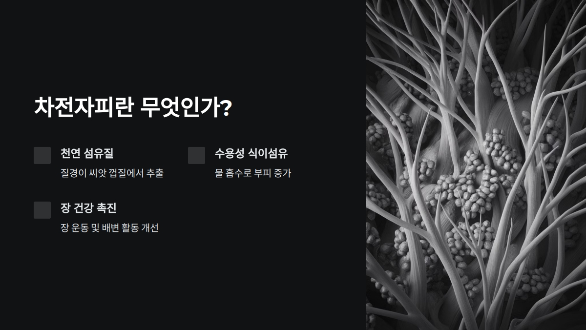 차전자피 효능