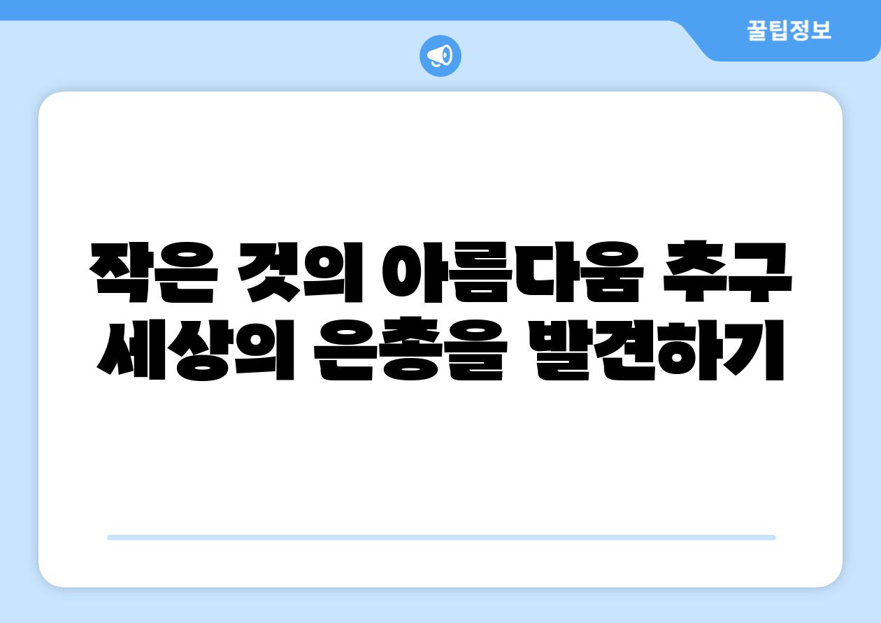 작은 것의 아름다움 추구 세상의 은총을 발견하기