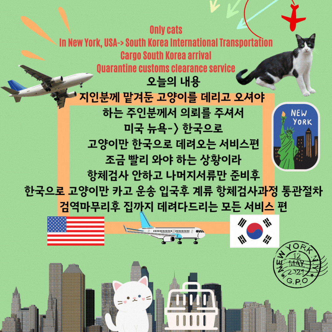  해외에서 강아지 고양이 반려견 반려묘 반려동물 한국 운송 수송 카고 국제 해외 운송 강아지 고양이 대형견 단두종 반려동물해외운송 강아지카고운송 고양이카고운송 강아지해외검역 고양..