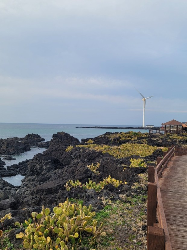 제주도 일몰 명소 베스트 6