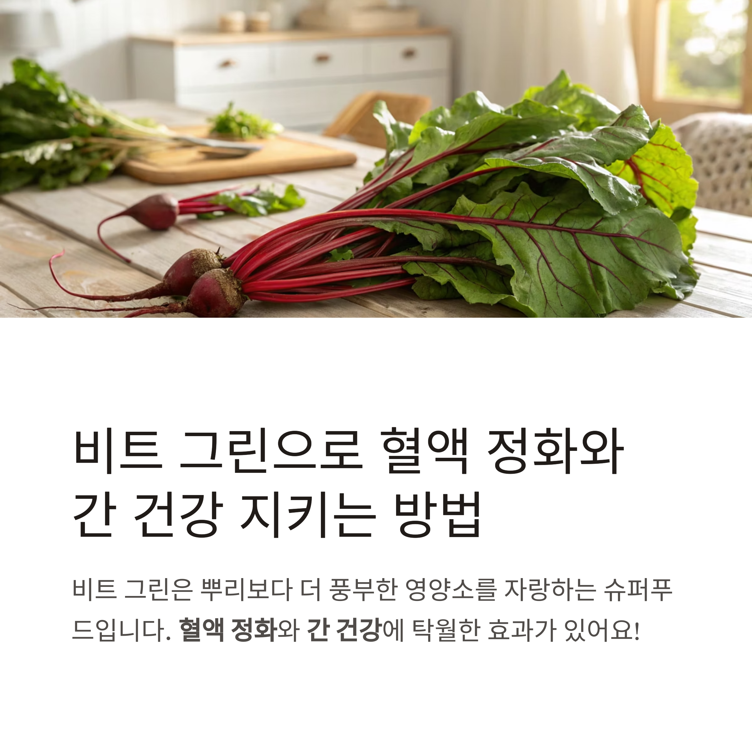비트 그린 영양 정보