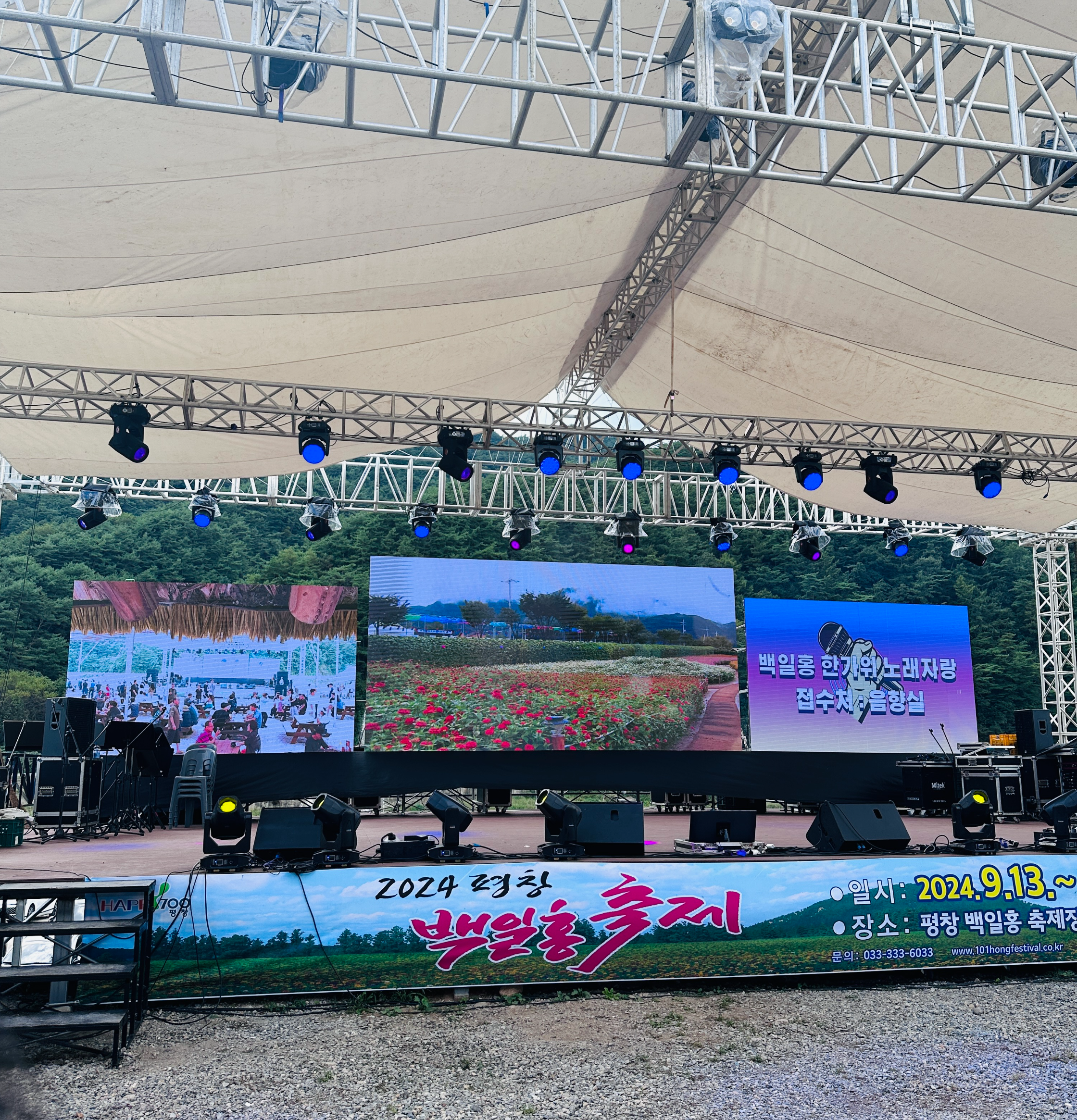 평창-백일홍-축제-무대