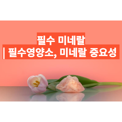 필수 미네랄