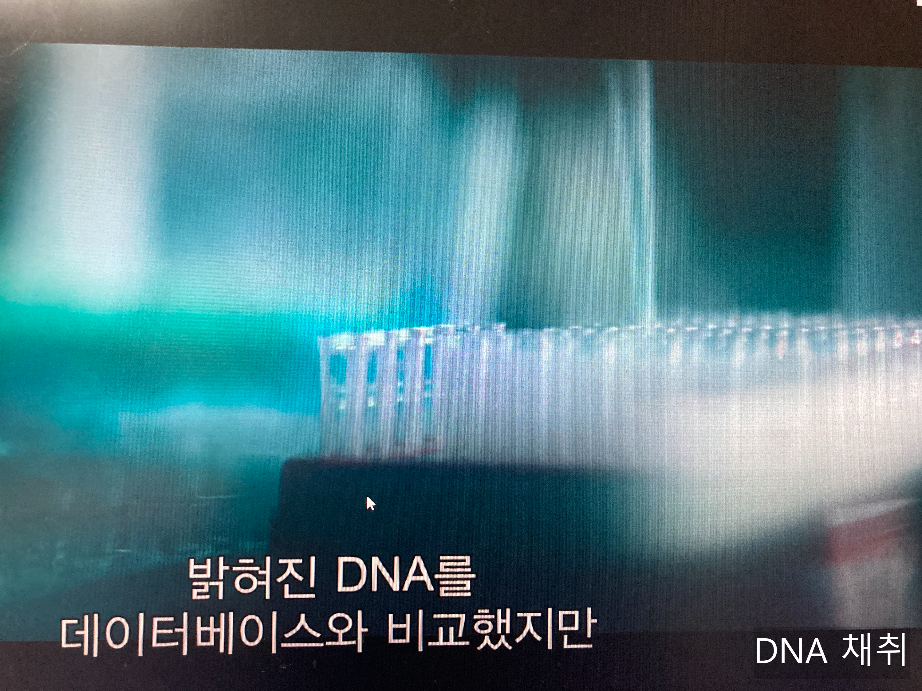 DNA 채취