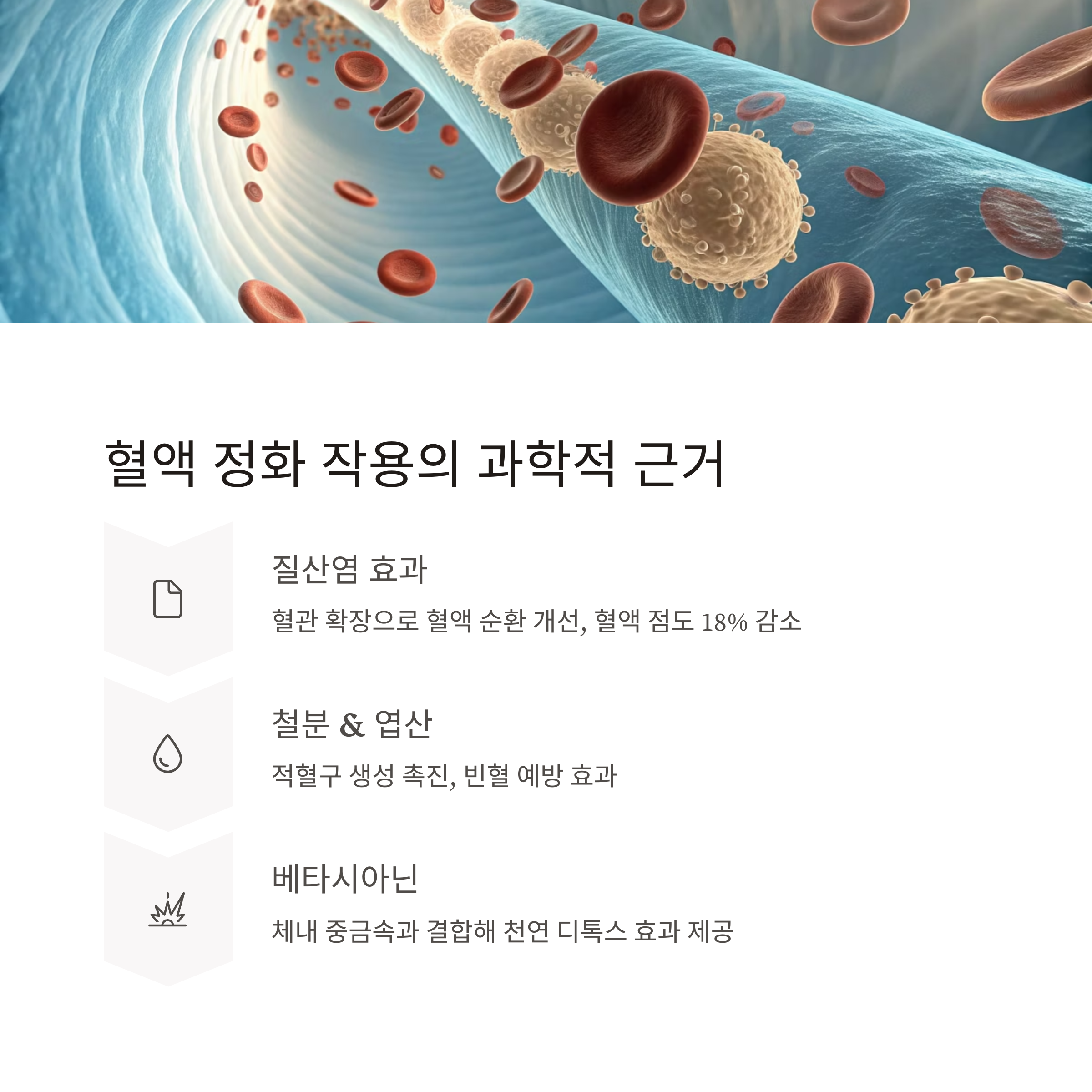 비트그린 혈액 정화