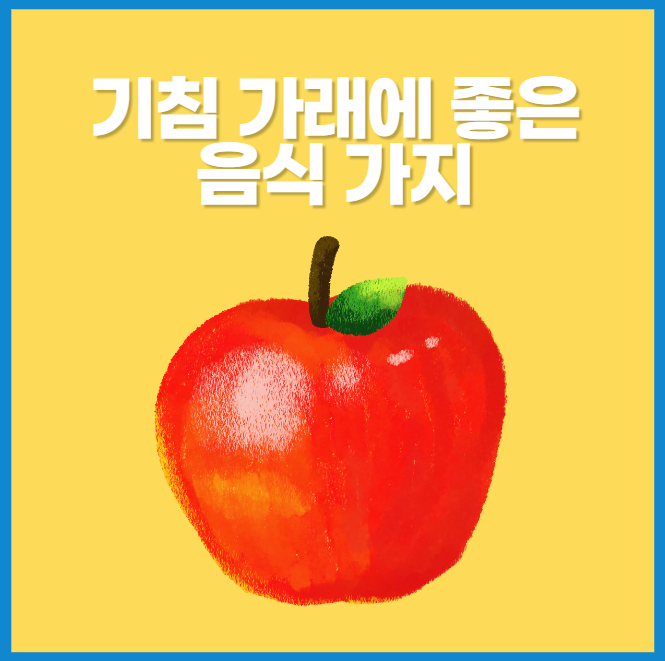 기침가래에좋은음식