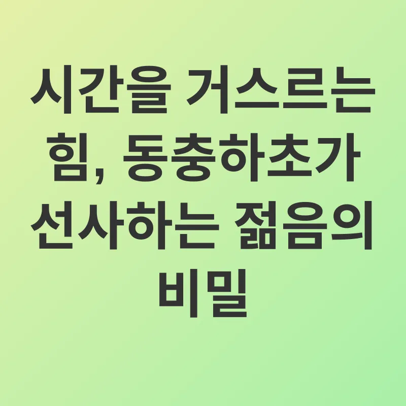 동충하초 효능_3