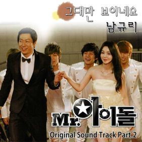  남규리 그대만 보이네요 듣기/가사/앨범/유튜브/뮤비/반복재생/작곡작사