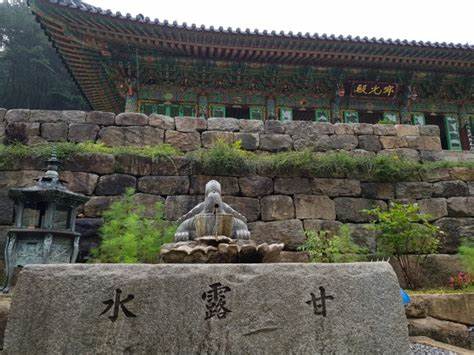 (주)도리천 이미지