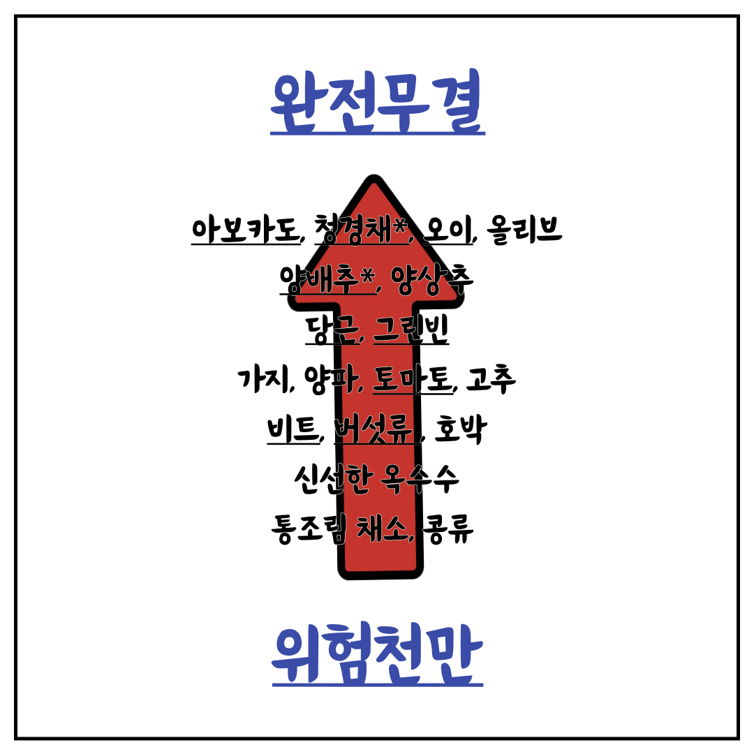  최강의 식사 몸에 좋은 채소 순위 및 가격 비교