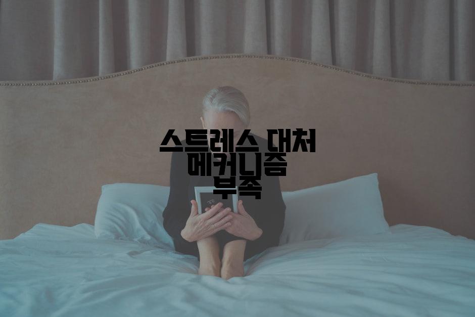 스트레스 대처 메커니즘 부족