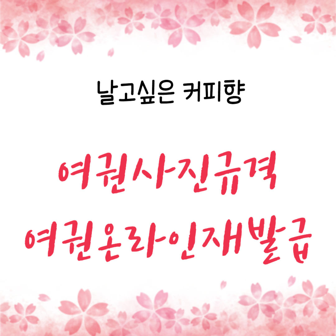  여권 사진 규격 과 여권 온라인 재발급