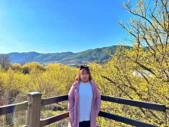 구례 산수유축제 기간 산수유마을 개화시기_9