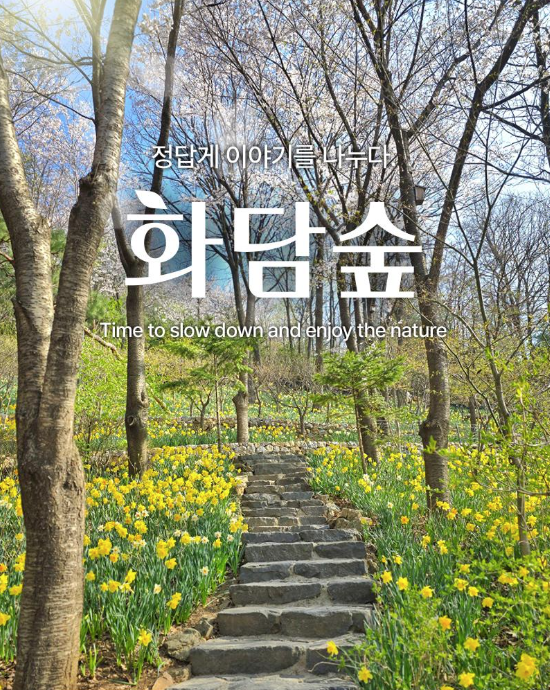 화담 이미지