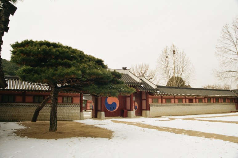 중고 펜탁스 SF7 자동차 필름 카메라 이야기. 결과는 9개월만에 나왔다. 29