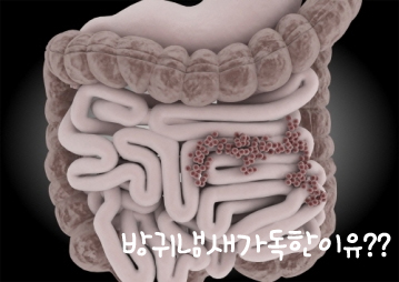  방귀냄새가독한이유, 내몸에 이상신호?