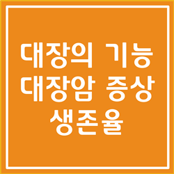  대장의 기능, 대장암 초기증상 및 말기증상, 대장암 생존율 총 정리