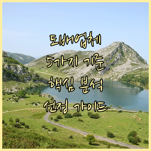 도배 업체 선정 가이드 5가지 핵심 