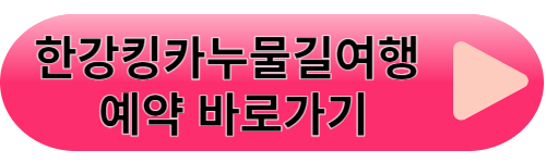 한강페스티벌여름