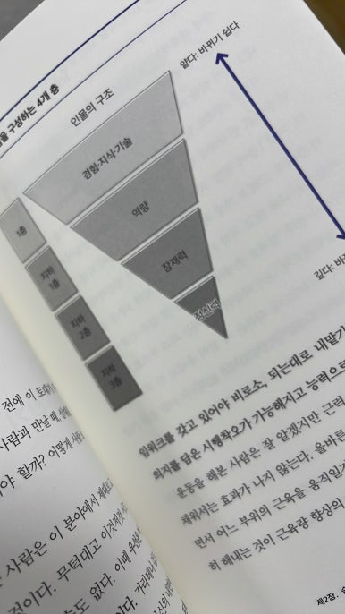 안목 이미지