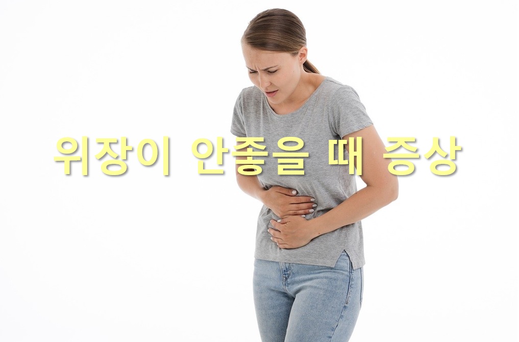  위장이 안좋을 때 증상과 위장이 안좋을 때 좋은 음식