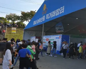 횡성 한우축제_18