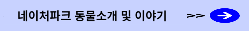 동물소개