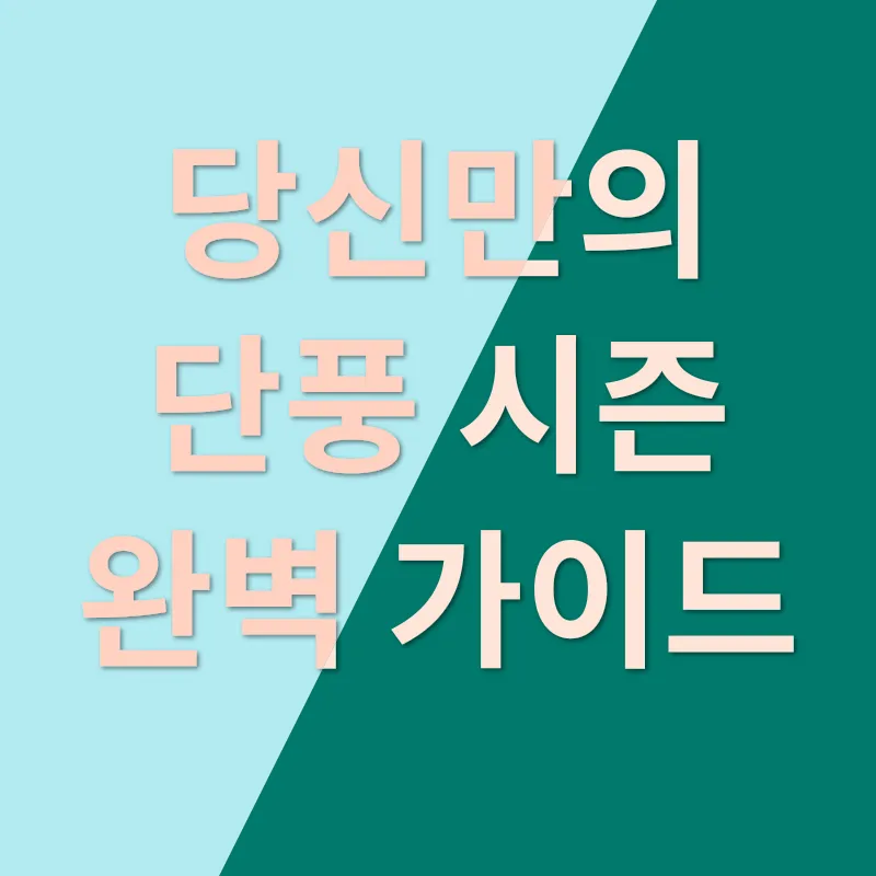 개인통관고유부호_2