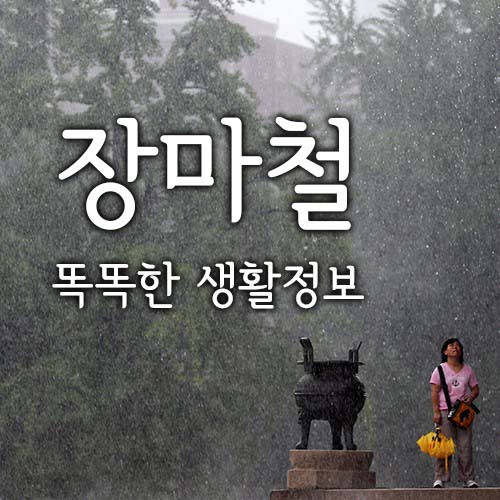  2021 장마기간, 장마철 똑똑한 생활정보 모음