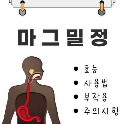 마그밀정 효능과 부작용