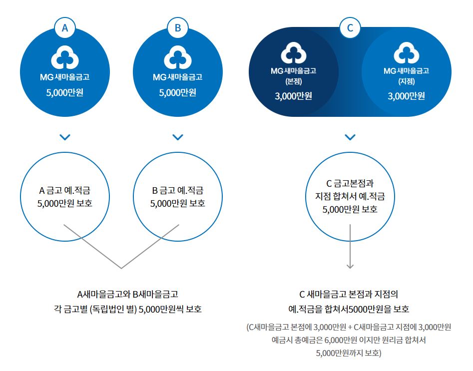 보호대상 및 한도