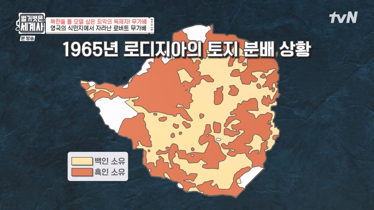 벌거벗은 세계사.E119.231004p-NEXT.mp4_20240511_162731.761.jpg