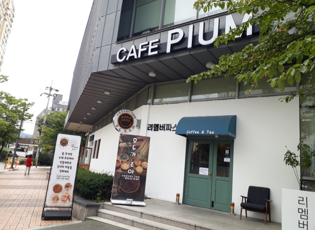  원주 카페 추천 카페 피움 PIUM