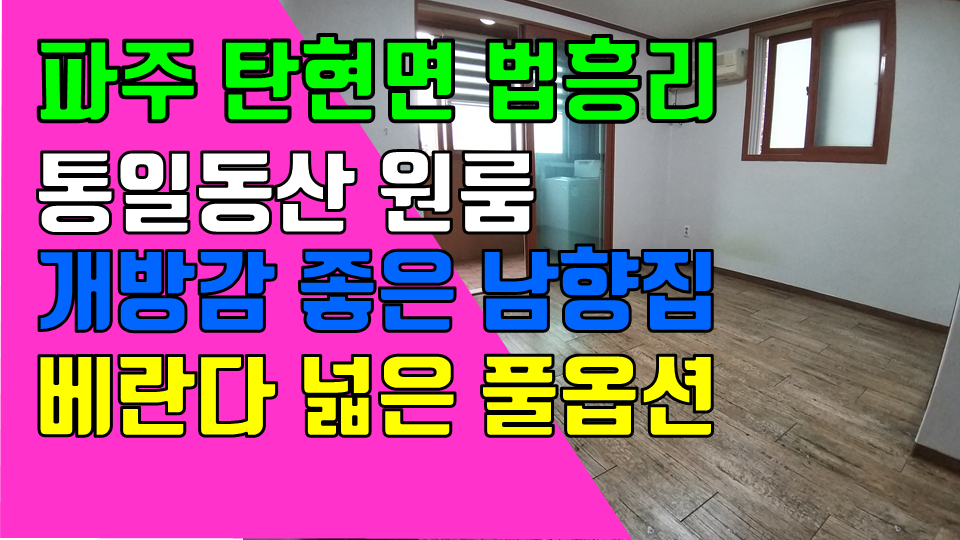  파주 탄현면 법흥리 통일동산 헤이리 원룸 월세 100/27만 풀옵션 개방감 좋고 조망권 좋은 베란다 넓은 남향집