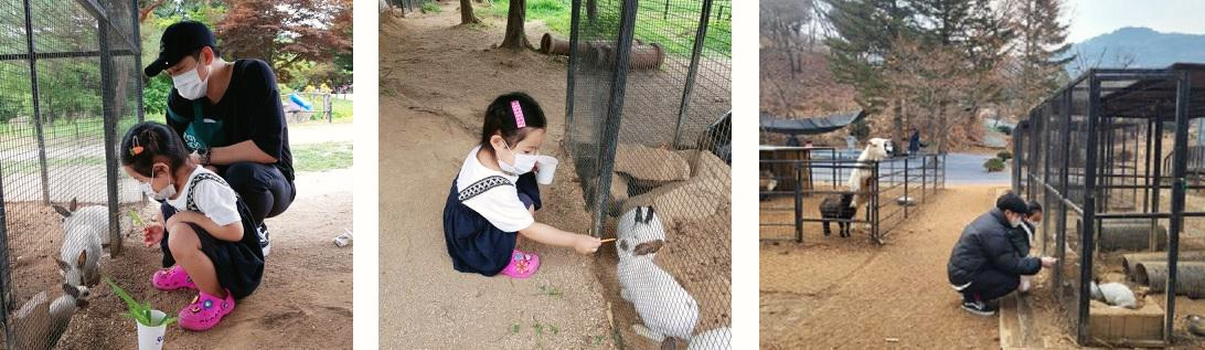  [남양주 별내/산들소리 수목원] 아이와 함께 방문하기 좋은 장소